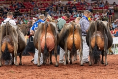 AR309780-29587 AR309780-29587