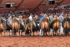 AR309781-29588 AR309781-29588