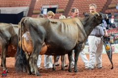 AR309782-29589 AR309782-29589