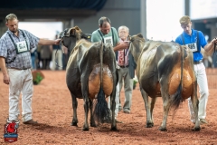 DSC09805-29583 DSC09805-29583