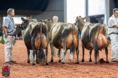 DSC09806-29584 DSC09806-29584