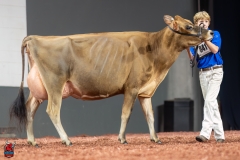 A107676-29340 A107676-29340