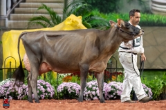 A107704-29343 A107704-29343