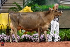 A107727-29345 A107727-29345