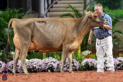 A107748-29346 A107748-29346