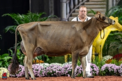 A107759-29347 A107759-29347