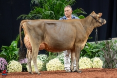 A107784-29349 A107784-29349