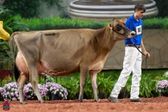 A107796-29350 A107796-29350