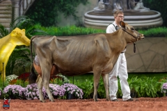 A107811-29351 A107811-29351