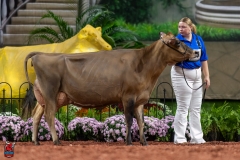 A107814-29352 A107814-29352