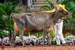 A107825-29353 A107825-29353