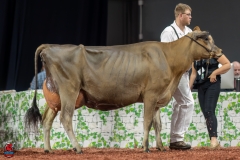 A107829-29354 A107829-29354