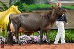 A107833-29355 A107833-29355