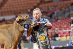 A107847-29360 A107847-29360