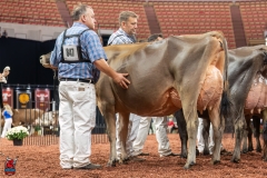 AR301253-29357 AR301253-29357