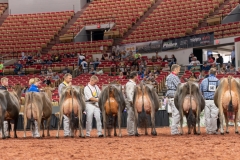 AR301267-29358 AR301267-29358