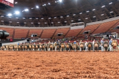 AR301269-29359 AR301269-29359