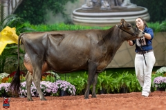 A108221-29405 A108221-29405