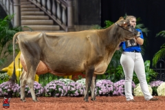 A108238-29406 A108238-29406