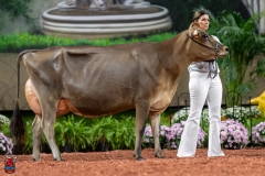 A108257-29408 A108257-29408