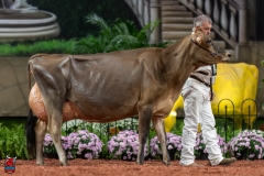 A108290-29409 A108290-29409