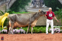 A108309-29410 A108309-29410