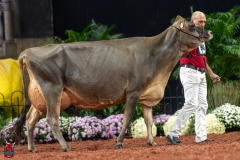 A108317-29411 A108317-29411