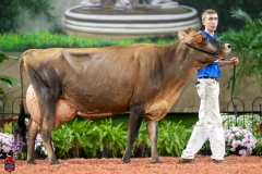 A108345-29413 A108345-29413