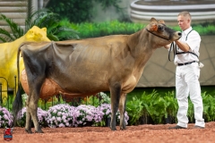 A108373-29415 A108373-29415