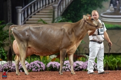 A108392-29416 A108392-29416