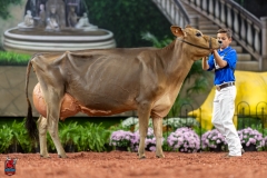 A108418-29417 A108418-29417