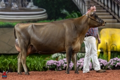 A108446-29418 A108446-29418