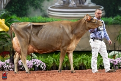 A108453-29419 A108453-29419