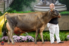 A108479-29420 A108479-29420