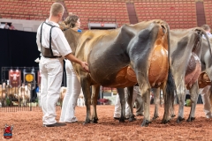 AR307845-29423 AR307845-29423