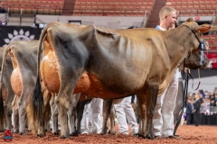 AR307852-29428 AR307852-29428