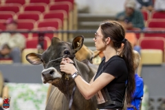 2A9A1961-29253 2A9A1961-29253