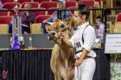 2A9A1971-29255 2A9A1971-29255