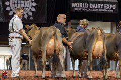 2A9A1974-29257 2A9A1974-29257