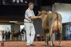 2A9A1981-29258 2A9A1981-29258