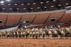 2A9A1992-29261 2A9A1992-29261