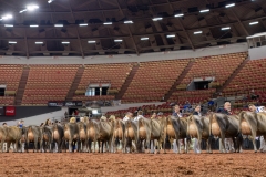 2A9A1995-29262 2A9A1995-29262