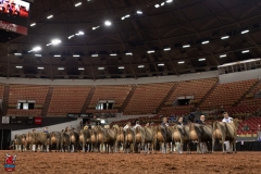 2A9A1996-29268 2A9A1996-29268