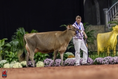 2A9A1998-29263 2A9A1998-29263