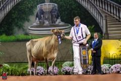 2A9A2000-29264 2A9A2000-29264