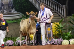 2A9A2003-29265 2A9A2003-29265