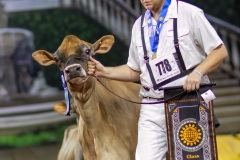 2A9A2006-29266 2A9A2006-29266