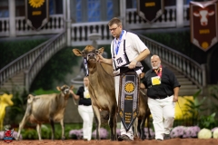 2A9A2008-29267 2A9A2008-29267