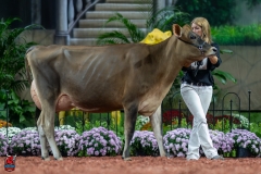 A107137-29244 A107137-29244