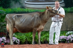 A107151-29246 A107151-29246